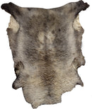 Piel Decorativa Auténtica - 1