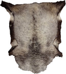 Piel Decorativa Auténtica - 2