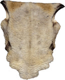 Piel Decorativa Auténtica - 3