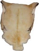 Piel Decorativa Auténtica - 7