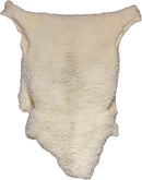 Piel Decorativa Auténtica - 4