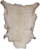 Piel Decorativa Auténtica - 5