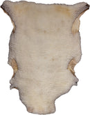 Piel Decorativa Auténtica - 6