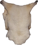 Piel Decorativa Auténtica - 8