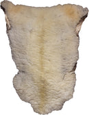 Piel Decorativa Auténtica - 9