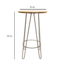 Mesa Periquera Spyder Galvanizada